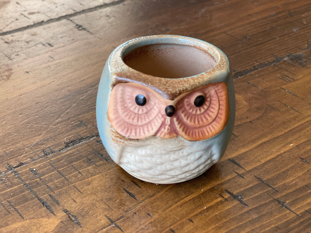 Beautiful Owl Succulent Pot