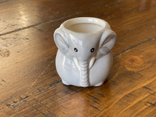 Load image into Gallery viewer, Cute Animal Succulent Pot
