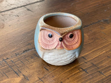 Load image into Gallery viewer, Beautiful Owl Succulent Pot
